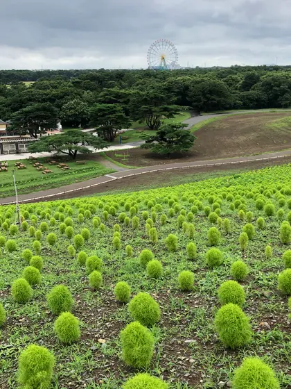 スポット内のおすすめ