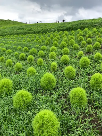 スポット内のおすすめ