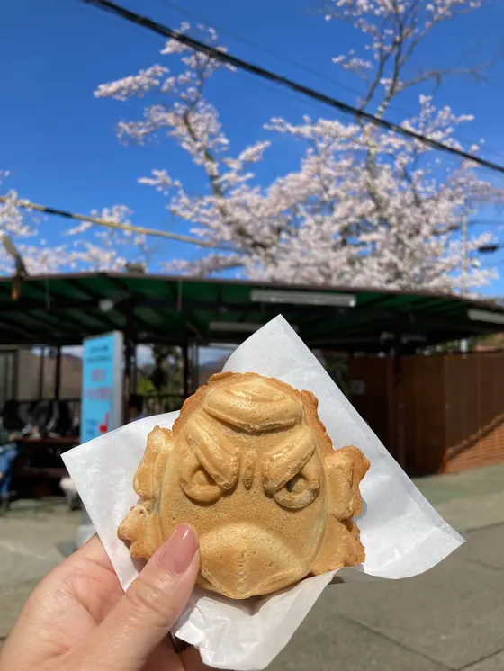 スポット内のおすすめ
