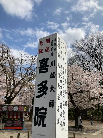 スポット内のおすすめ