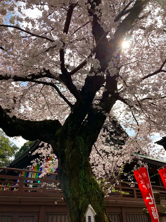 スポット内のおすすめ