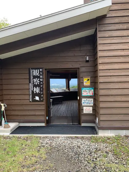 さらに奥へ行くと