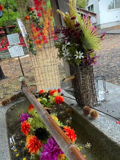 スポット内のおすすめ