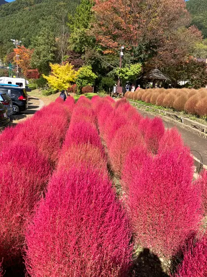 スポット内のおすすめ