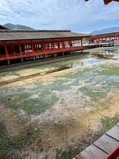 引き潮
