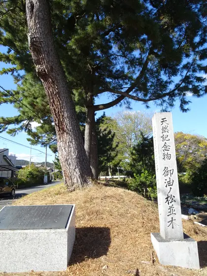御油の松並木