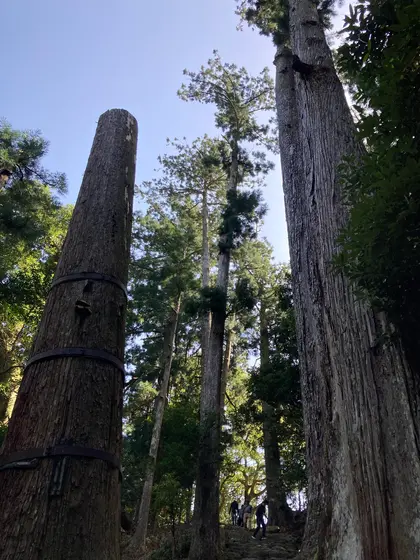 裏参道
