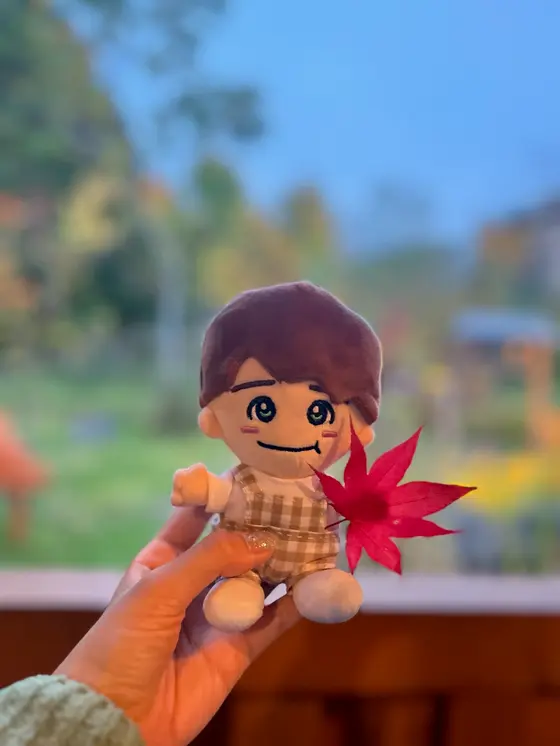 紅葉🍁