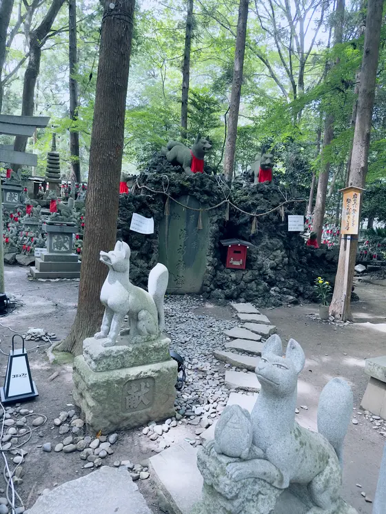 スポット内のおすすめ