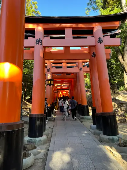スポット内のおすすめ
