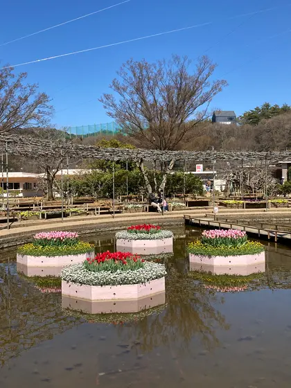 スポット内のおすすめ