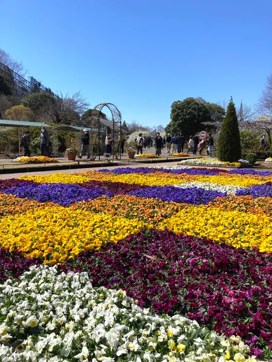 スポット内のおすすめ