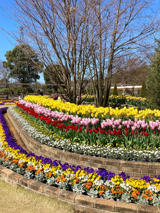 スポット内のおすすめ