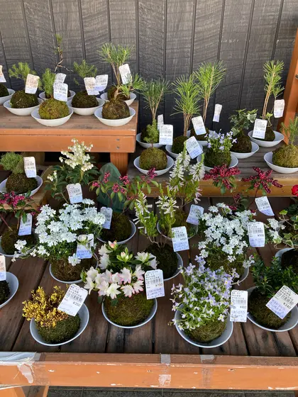 スポット内のおすすめ