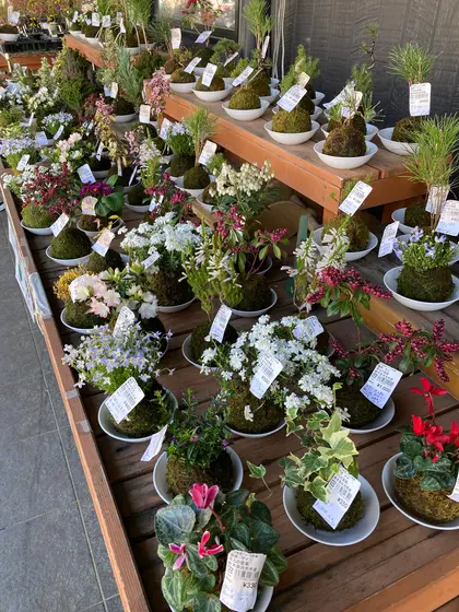 スポット内のおすすめ