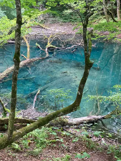 沸壺の池