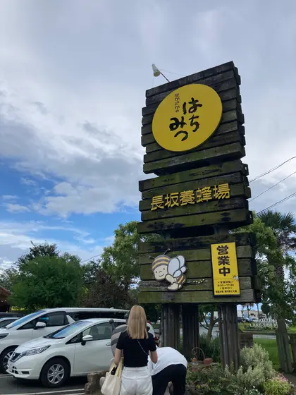 かわいいミツバチ🐝さんに招かれて