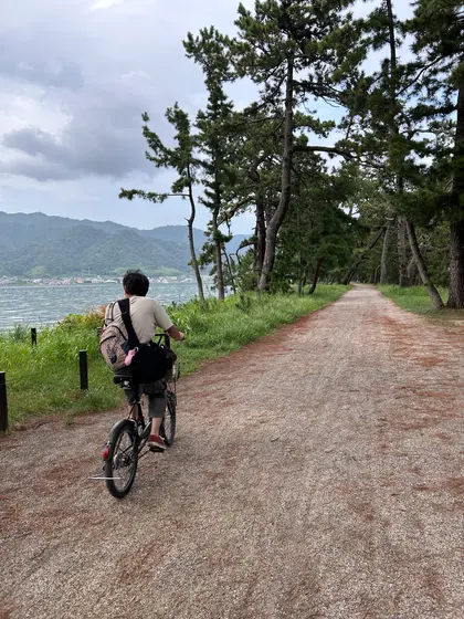 帰りは松林の中を自転車で