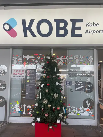クリスマスはどこも🎄