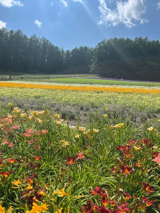 スポット内のおすすめ