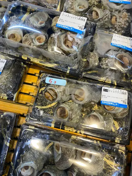 スポット内のおすすめ