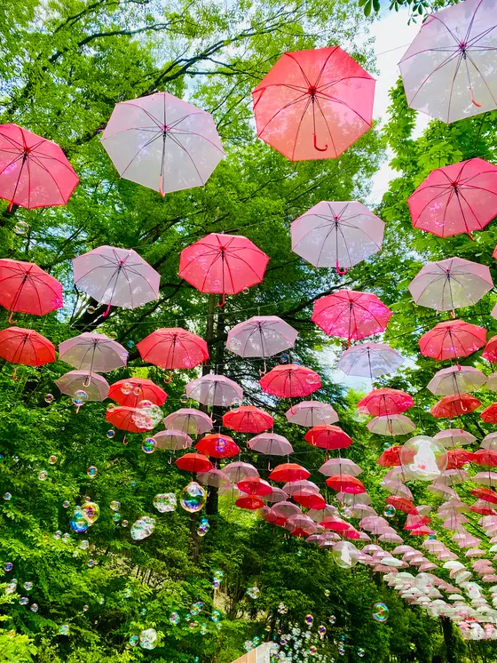 スポット内のおすすめ