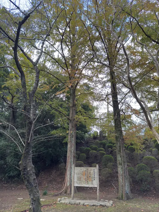 昭和天皇御製歌