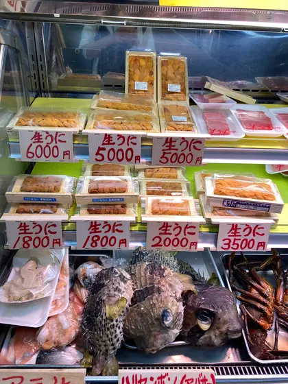 スポット内のおすすめ