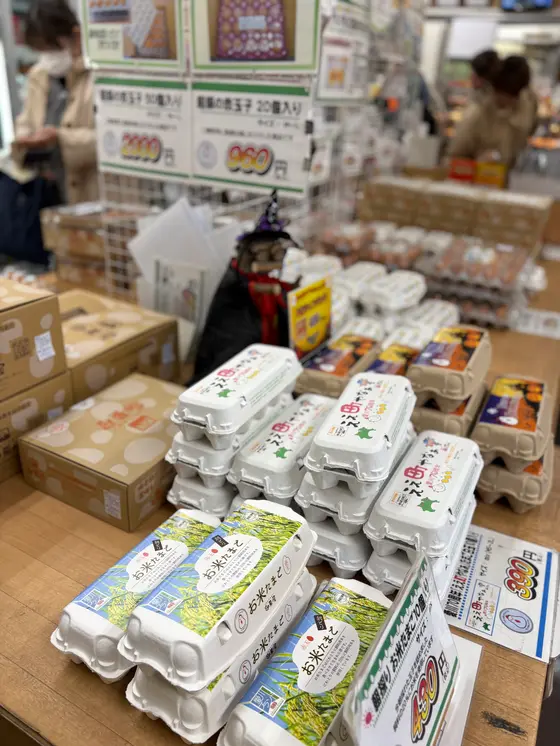 スポット内のおすすめ