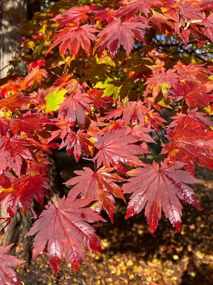 スポット内のおすすめ
