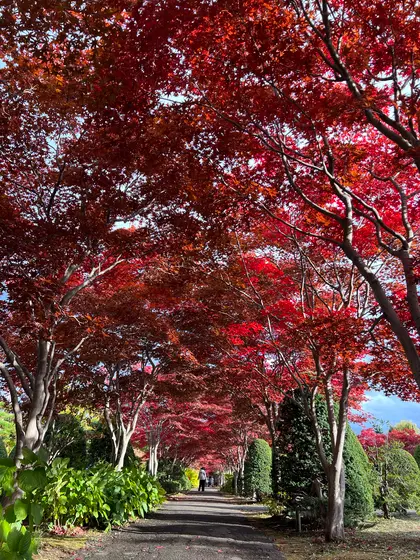 スポット内のおすすめ