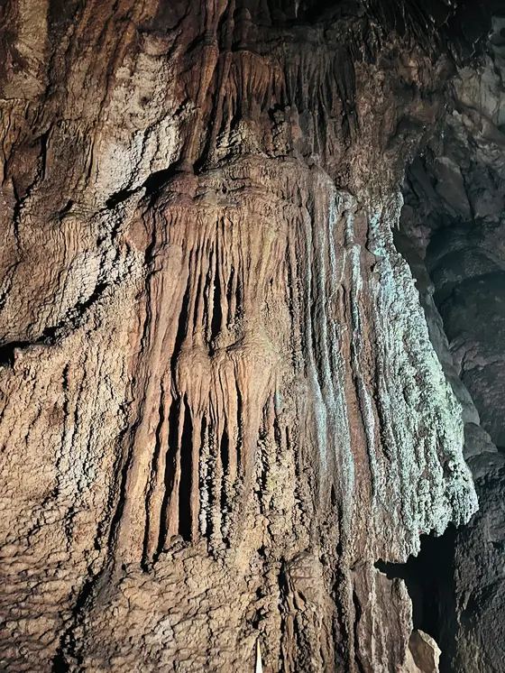 くらげの滝のぼり・五月雨御殿