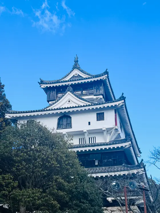 🏯岩国城天守閣