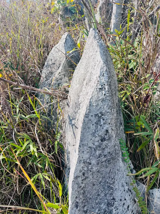 🔪ナイフエッジ😱