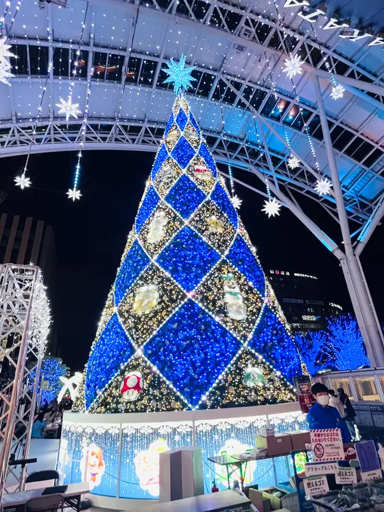 🌲光の街・博多
2025年11月1日(土)～2026年1月12日(祝)