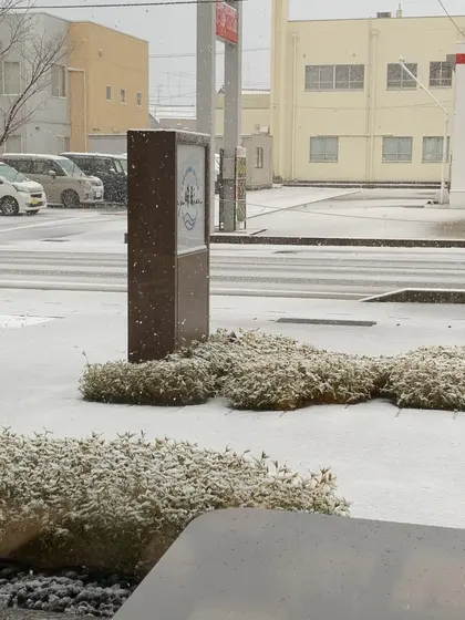 雪