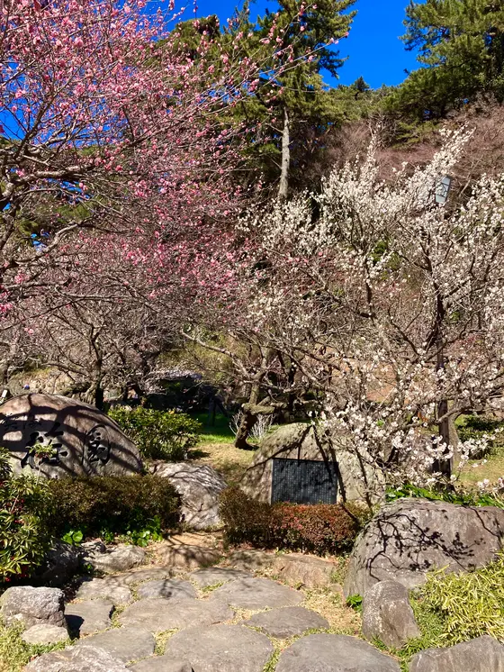 スポット内のおすすめ