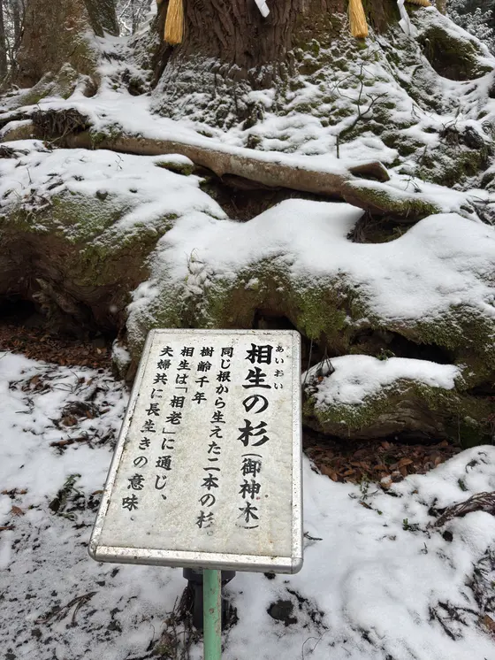 スポット内のおすすめ