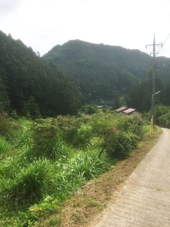 山里の風景