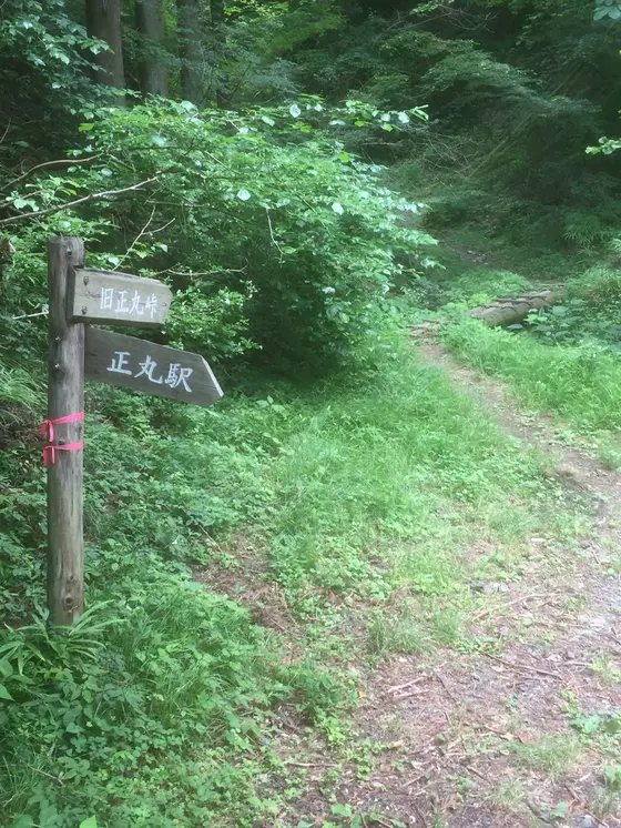 正丸峠を目指します