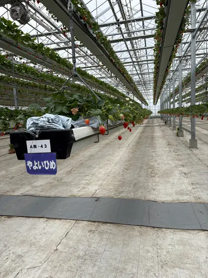 スポット内のおすすめ