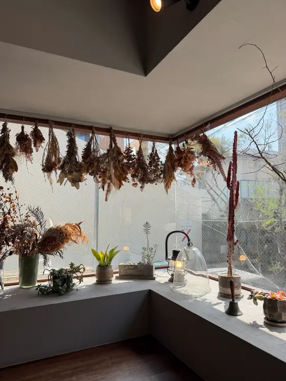 スポット内のおすすめ