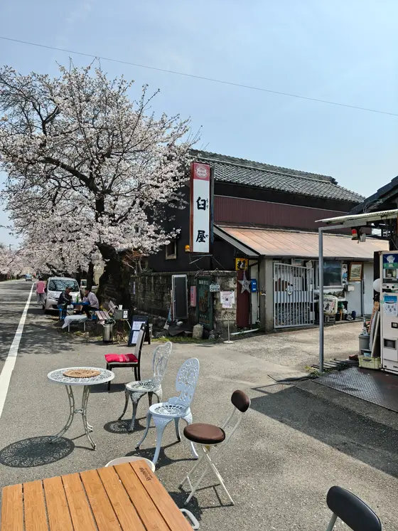 なにはともあれ花見酒です
