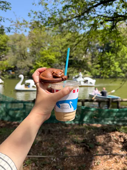 スポット内のおすすめ