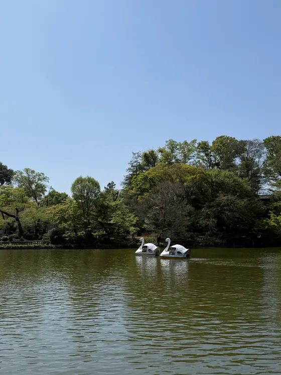 スポット内のおすすめ