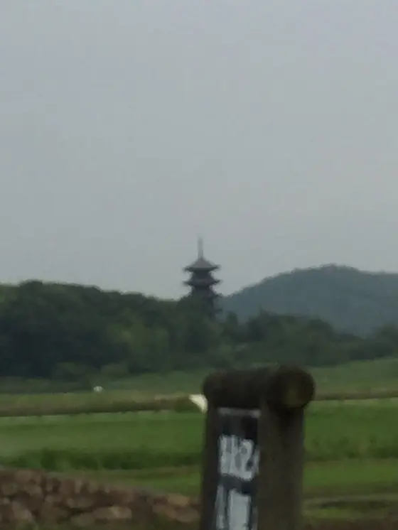 道路から見える五重塔