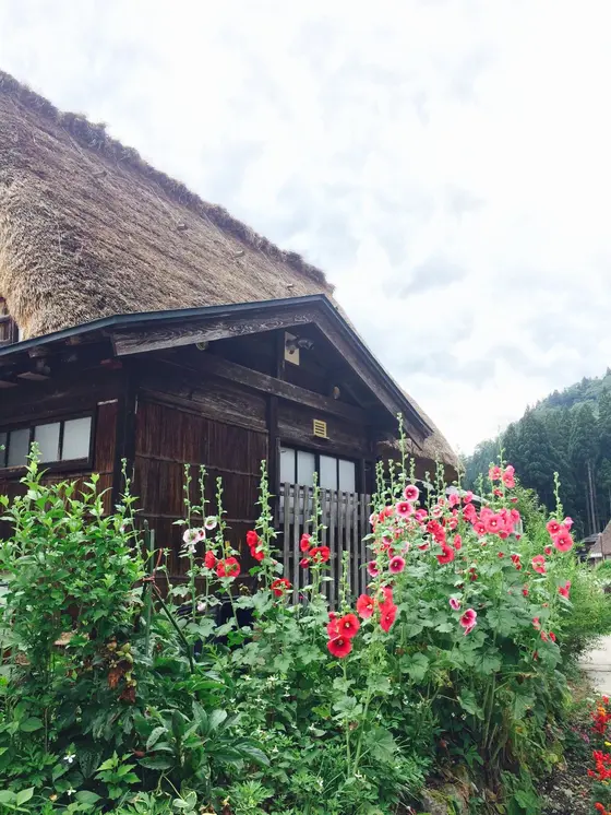 お花と茅葺き屋根