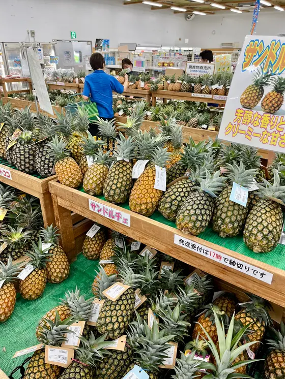 スポット内のおすすめ