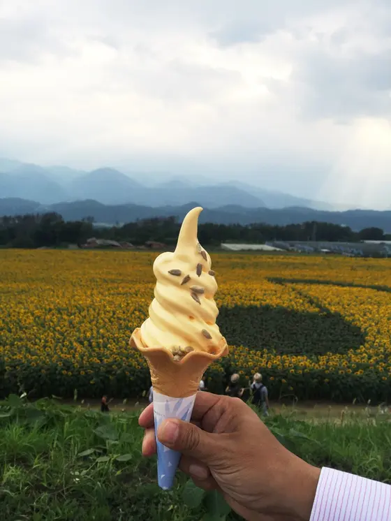 ひまわりソフトクリームが食べられます。ひまわりの種つき♪