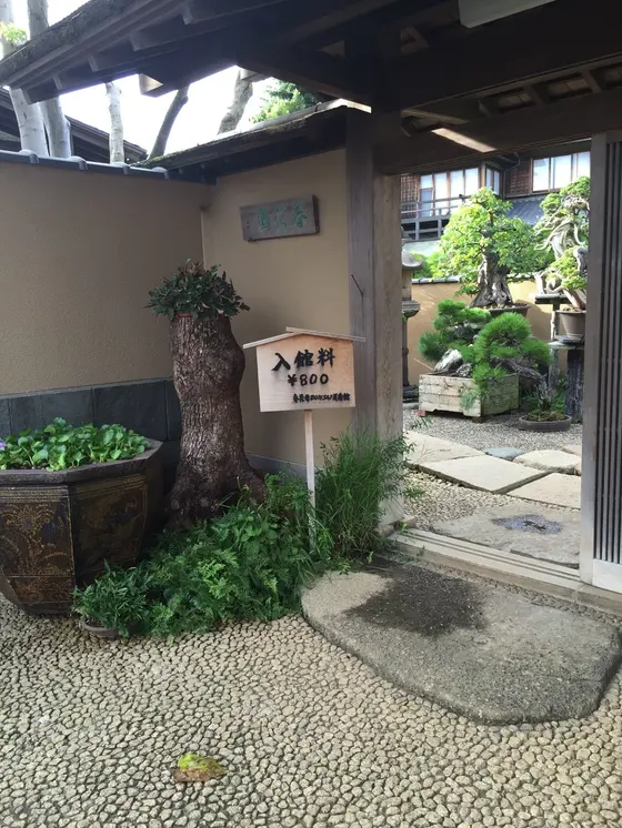 入館料